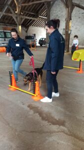 Atelier agility